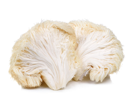 Fresh Lion's Mane Mushrooms, 8 oz.