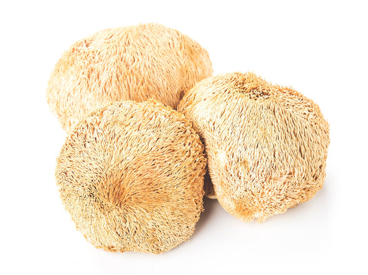 Dried Lion's Mane Mushrooms, 2 oz.